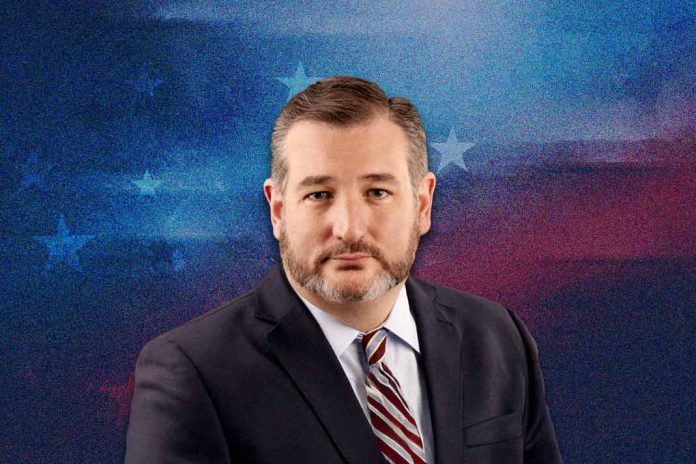 US Senator Cruz Proposes AI 'Sandbox' to Ease Regulations