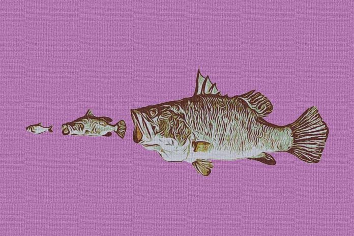 Consolidation Comes to Agentic AI: Why that’s Good News for Enterprises